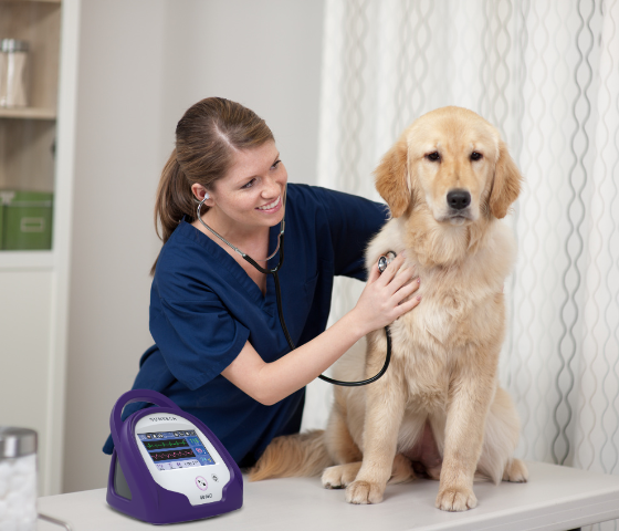 SunTech Vet40 product usage with dog